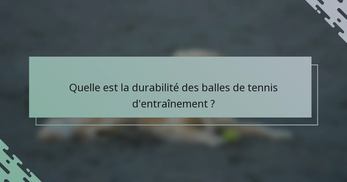 Quelle est la durabilité des balles de tennis d'entraînement ?