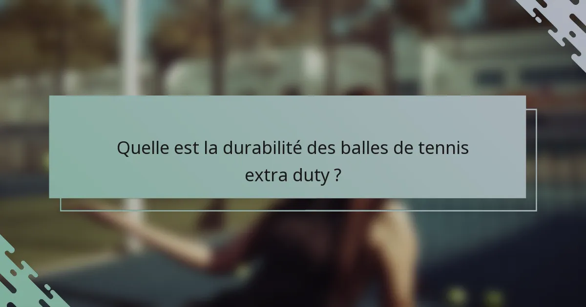 Quelle est la durabilité des balles de tennis extra duty ?