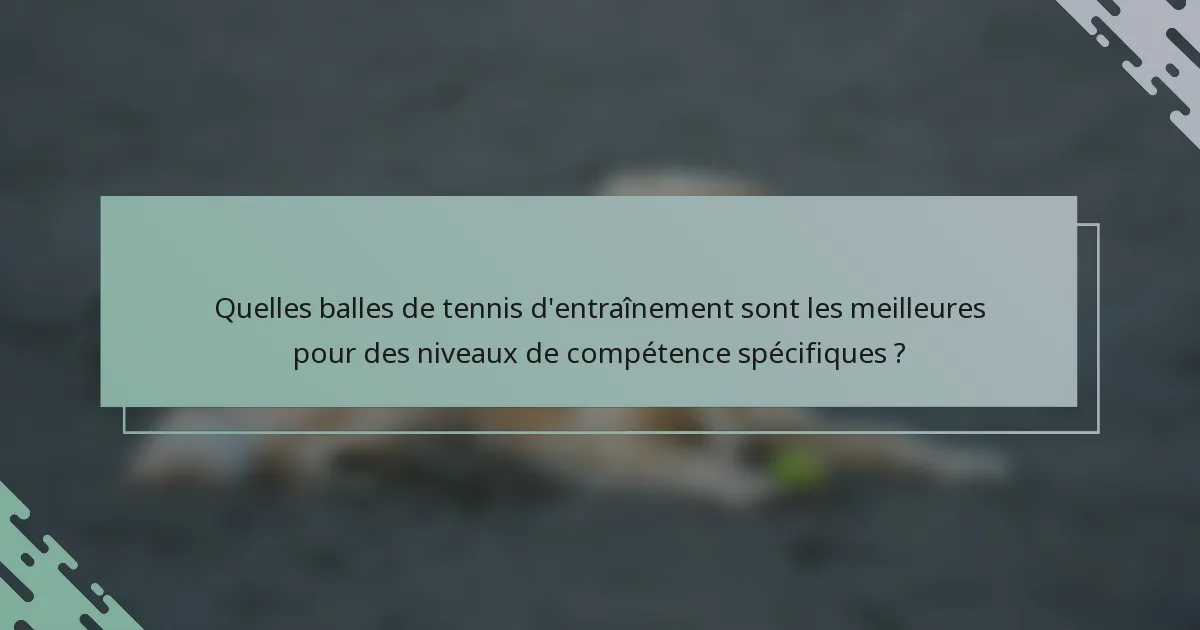 Quelles balles de tennis d'entraînement sont les meilleures pour des niveaux de compétence spécifiques ?