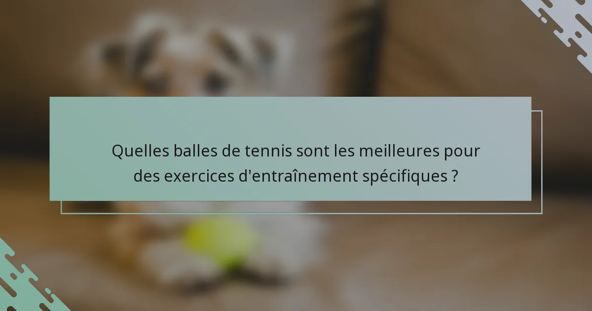 Quelles balles de tennis sont les meilleures pour des exercices d'entraînement spécifiques ?
