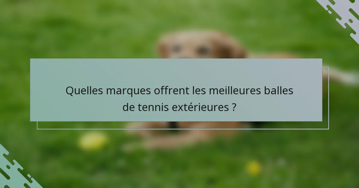 Quelles marques offrent les meilleures balles de tennis extérieures ?