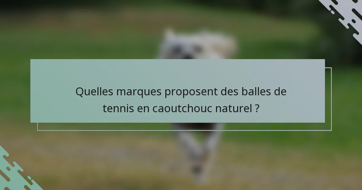 Quelles marques proposent des balles de tennis en caoutchouc naturel ?