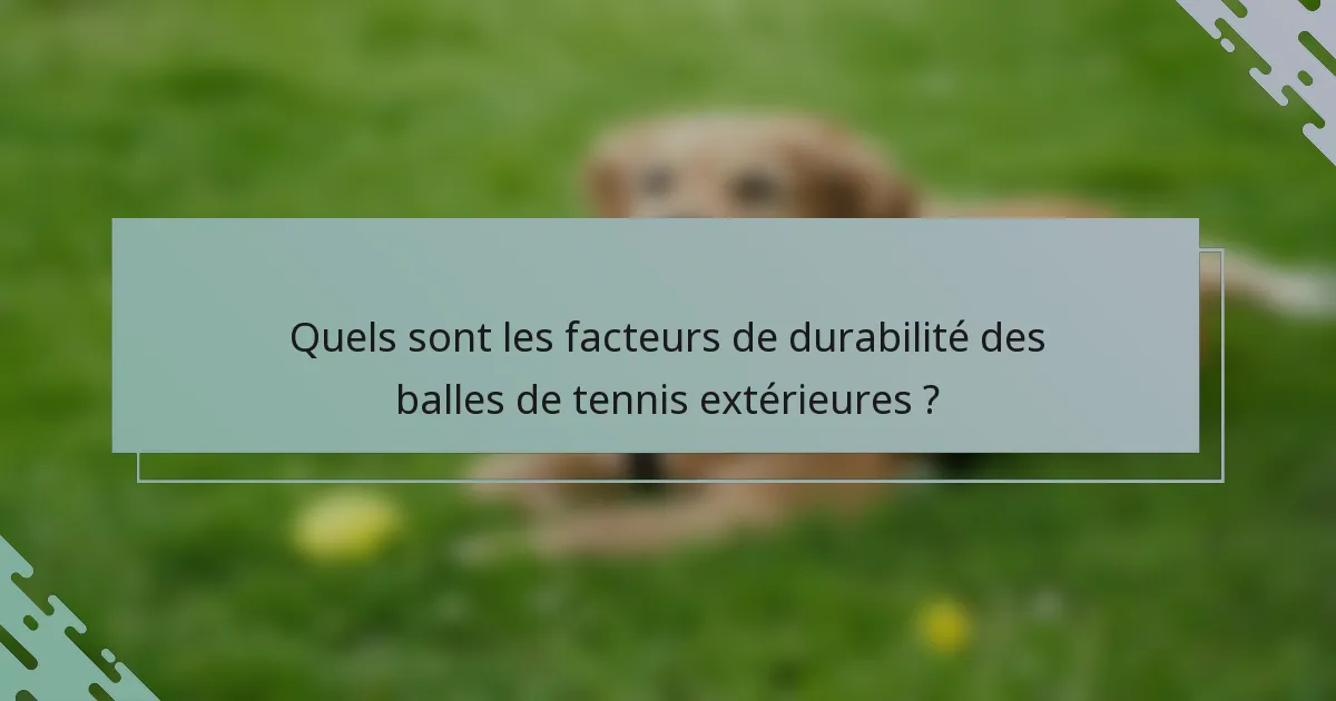 Quels sont les facteurs de durabilité des balles de tennis extérieures ?